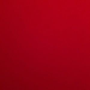 Meet your Posher, Lilly